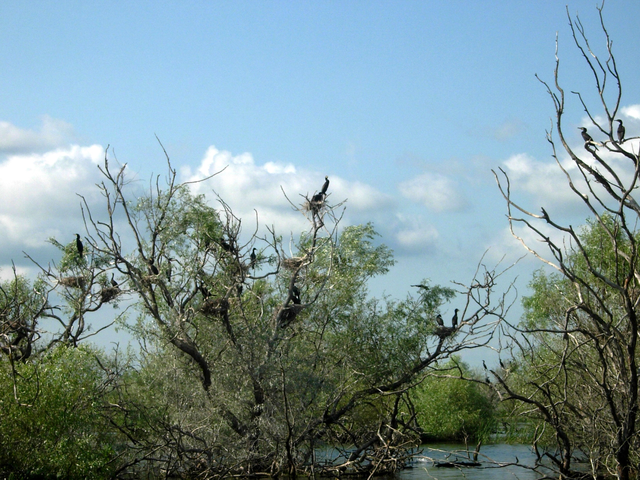 EUSDR2 © EuroVienna EUSDR2 © EuroVienna